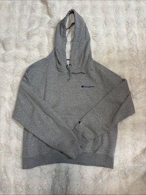 Champion Heather Gray Hoodie with Navy Script Logo